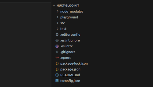 directory structure of nuxt module