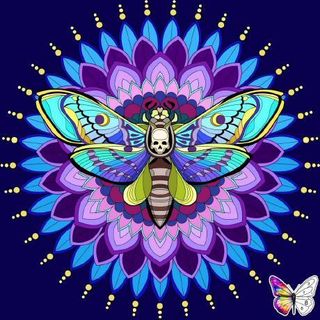 The Beebz profile picture