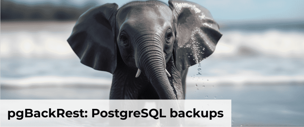 Cover image for pgBackRest: PostgreSQL S3 backups