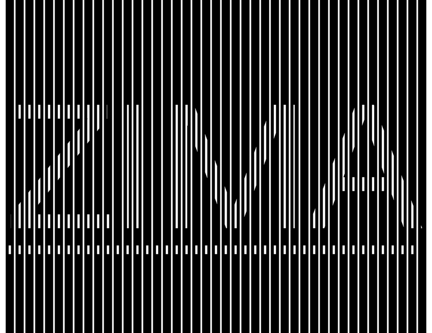 Zima 1