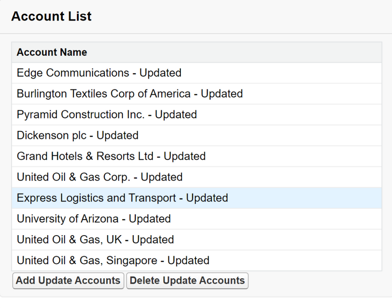 Visualforce Page with the result of clicking the Add Update Accounts button