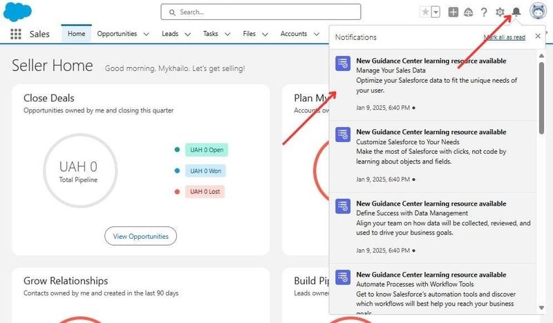 Standard Salesforce Notifications in Salesforce Org
