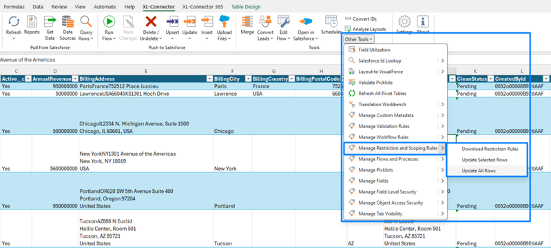 Manage Salesforce Scoping and Restriction Rules