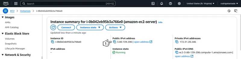 Amazon EC2 - Copy the public IP address