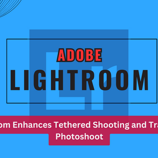 topten profile picture