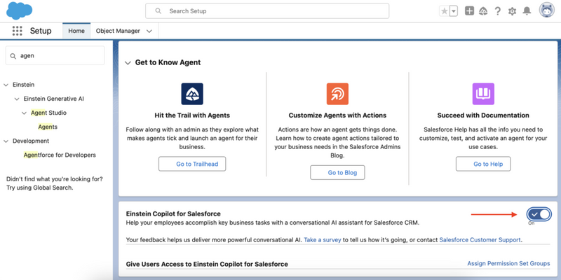 Einstein Copilot for Salesforce