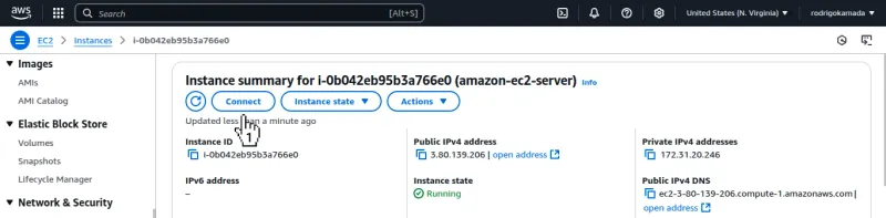 Amazon EC2 - Instance summary