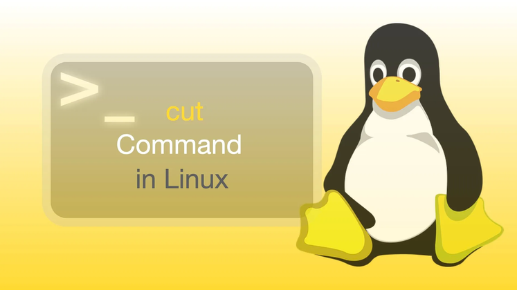 Cover image for Mastering Text Manipulation with the Cut Command in Linux