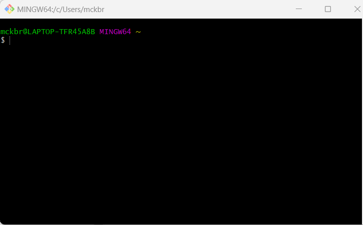 A screenshot of an empty Git Bash terminal
