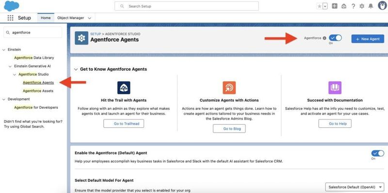 Enable Agentforce