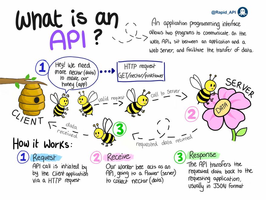 what is API?