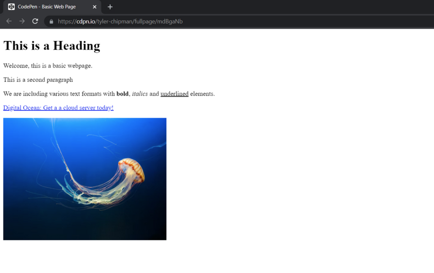 Simple Webpage