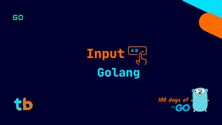 Cover image for Golang: Input