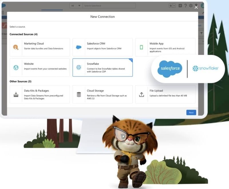 Salesforce Snowflake