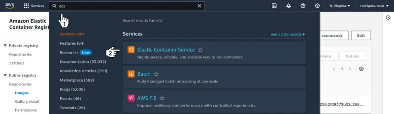 Amazon ECS - Access Elastic Container Service