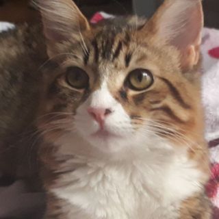 Esther Marie profile picture