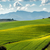 rnabi397 profile image