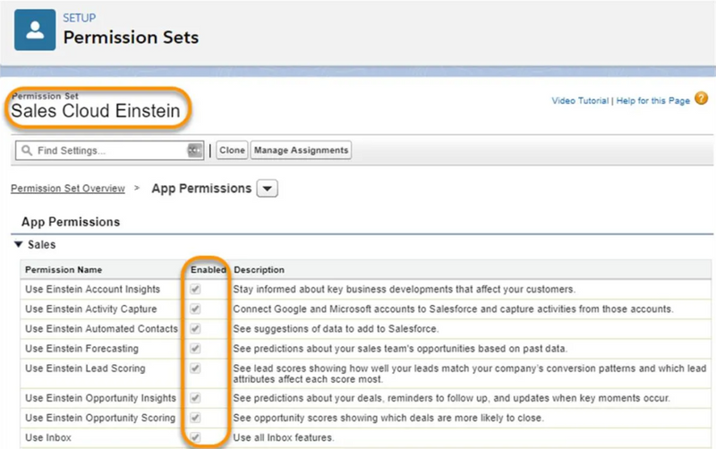 Einstein Permission Set Assignment