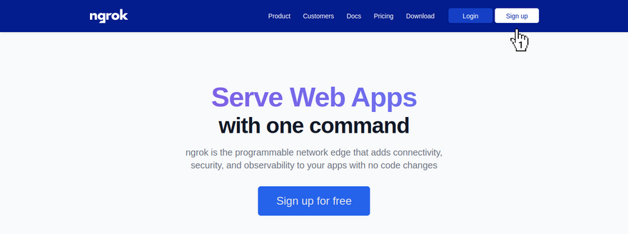 ngrok - Home page