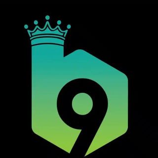B9 Game profile picture
