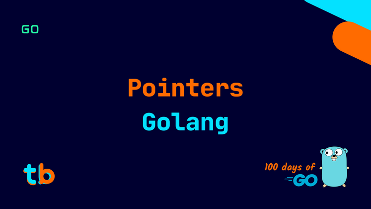 Cover image for Golang: Pointers
