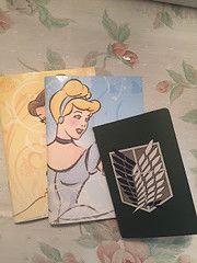 3 Notebooks. Belle is in the back, Cinderella the middle, and an anime journal on top