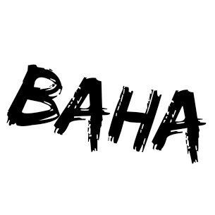 Bahauddin Chishte profile picture